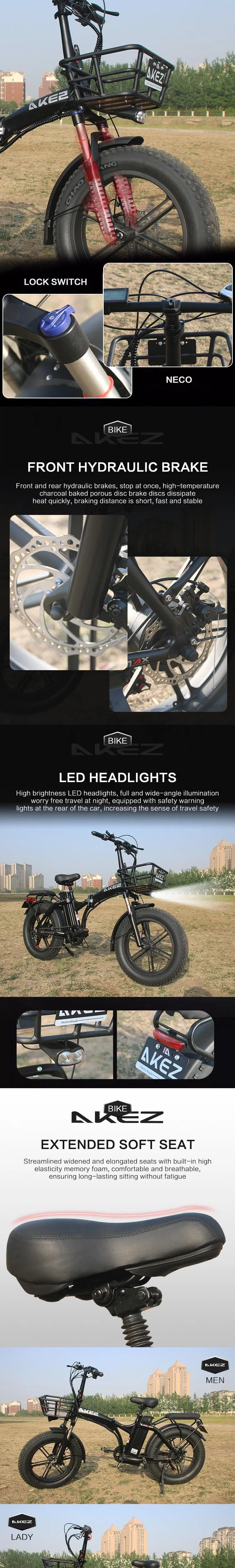 Folding Electric Bike View 4