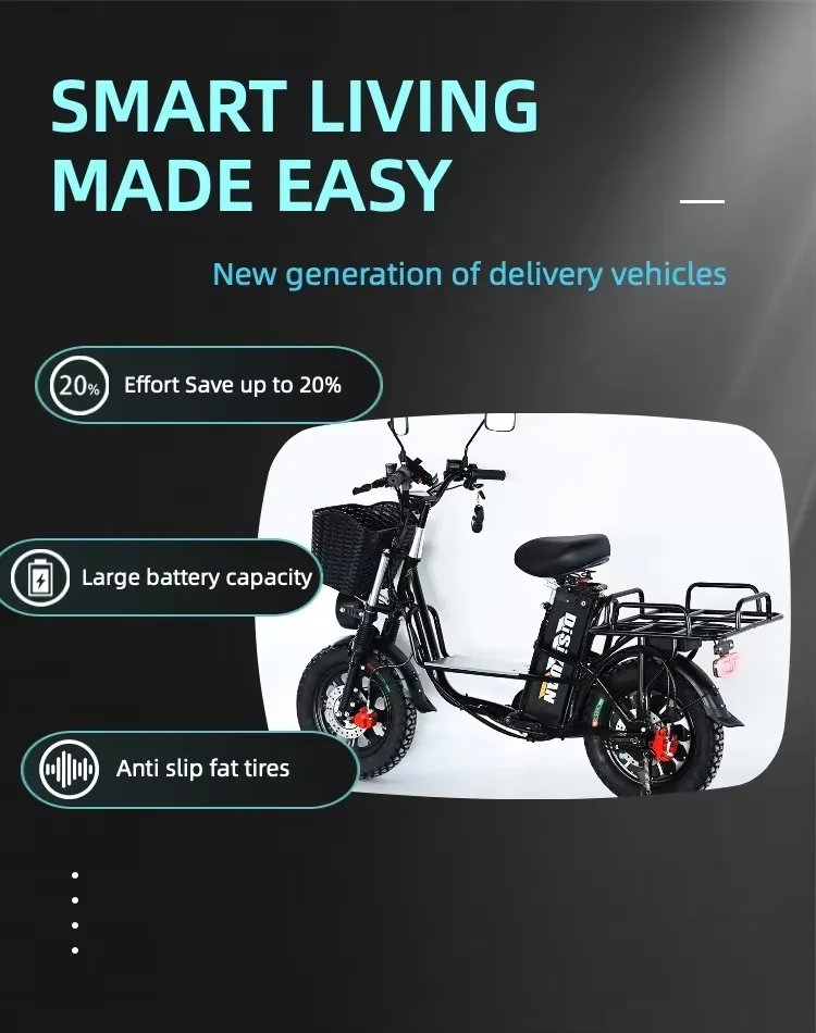 Electric Bicycle Side View