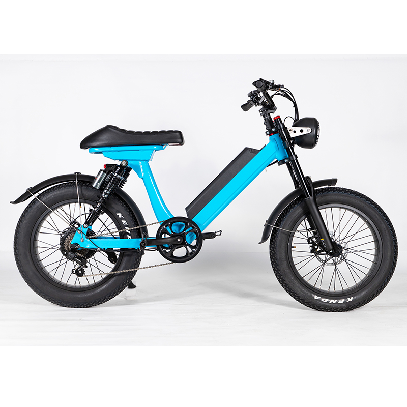 Convenient Light Electric Bike for Adult Commuter Customizable Colors