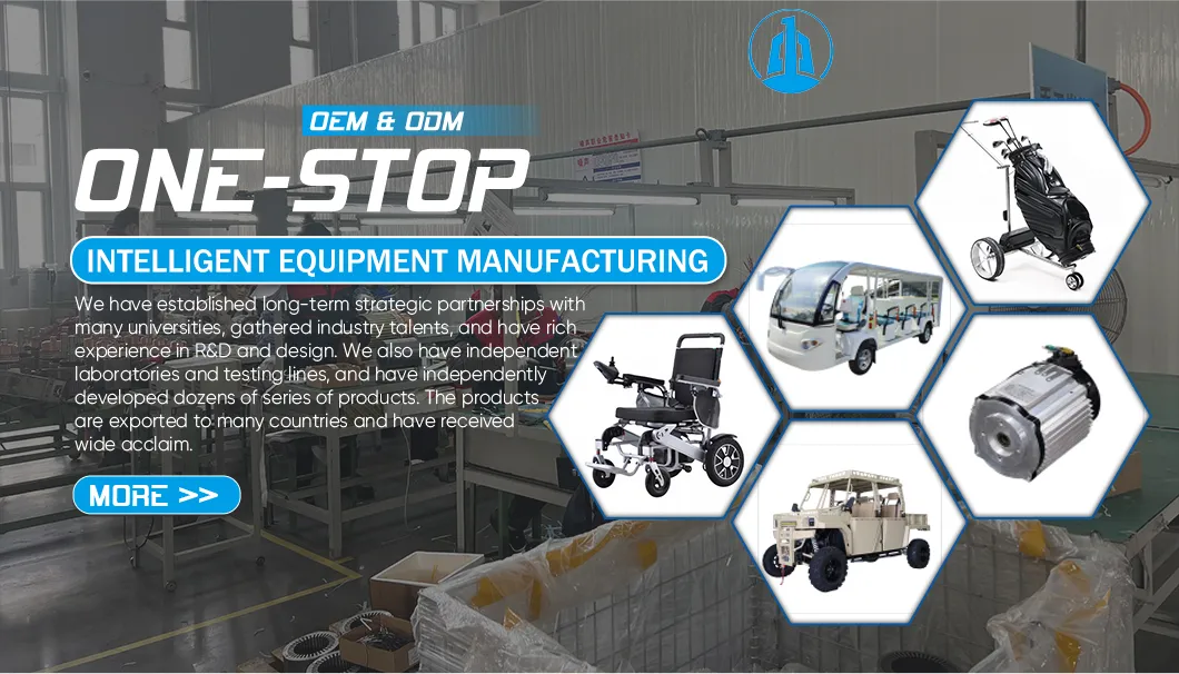 Electric Trike Overview