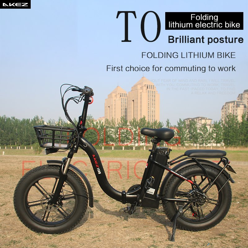 Akez Folding 48V 750W 16ah Fat Tire Electric Bike with Step-Through Frame