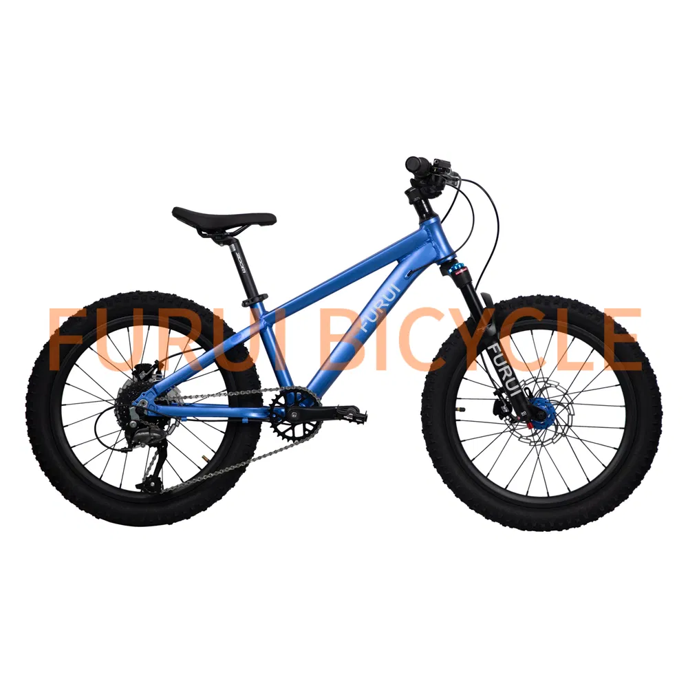2025 New BMX Trail Bikes Alloy Bicycle MTB