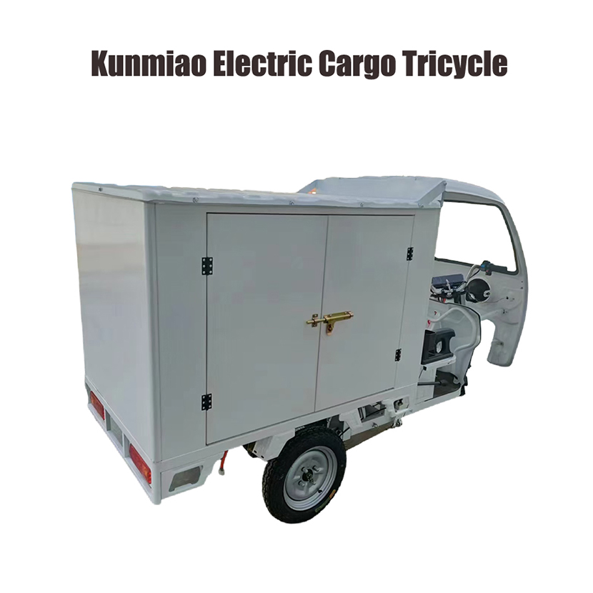 Lead Acid Battery 72V 45ah 1000W Electric Tricycle Electric Delivery Trike