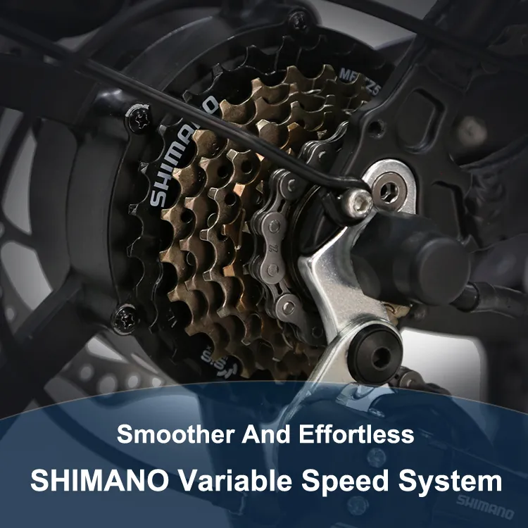 Electric Bike View 9