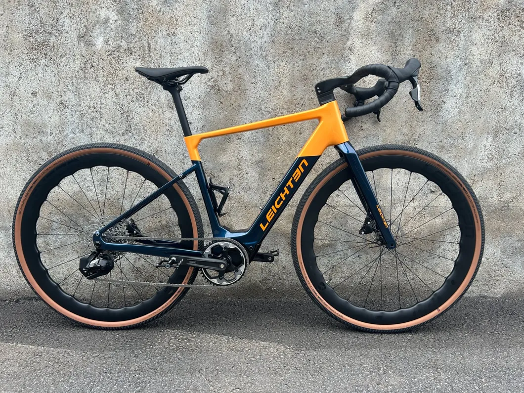 Electric Bike Details