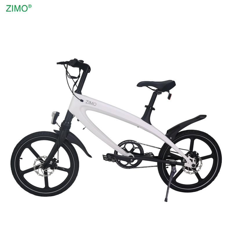 2026 New Popular 36V 240W Fat Tire Mountain Bike E City Bicycle Sports Pedal Assist Electric Bike