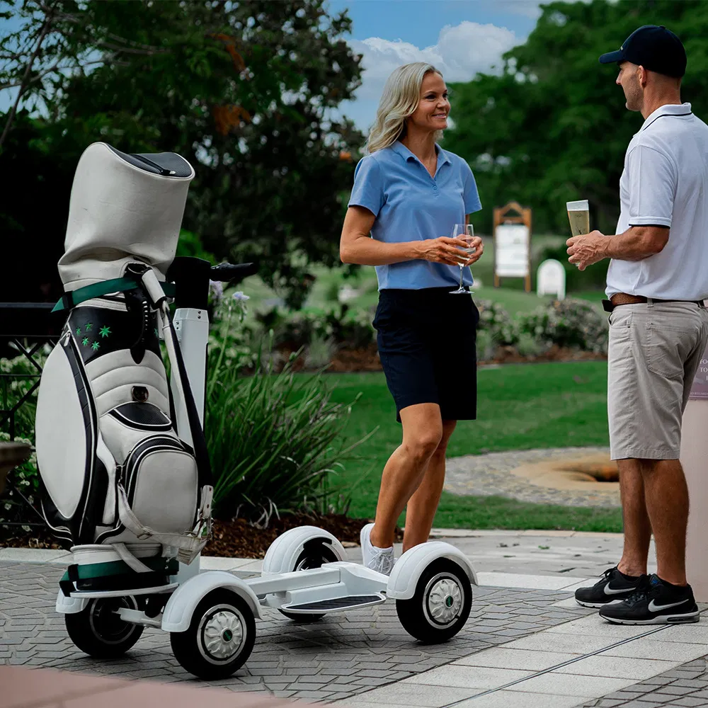 Electric Scooter Golf Club 48V 14ah Samsung Battery Electric Golf Skateboard