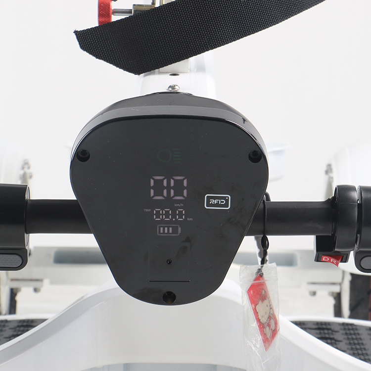 Ecorider 2021 New Style Hot Ecorider 4 Wheel Golf Skateboard E7-1 Stand up Golf Electric Cart with Foldable Handle