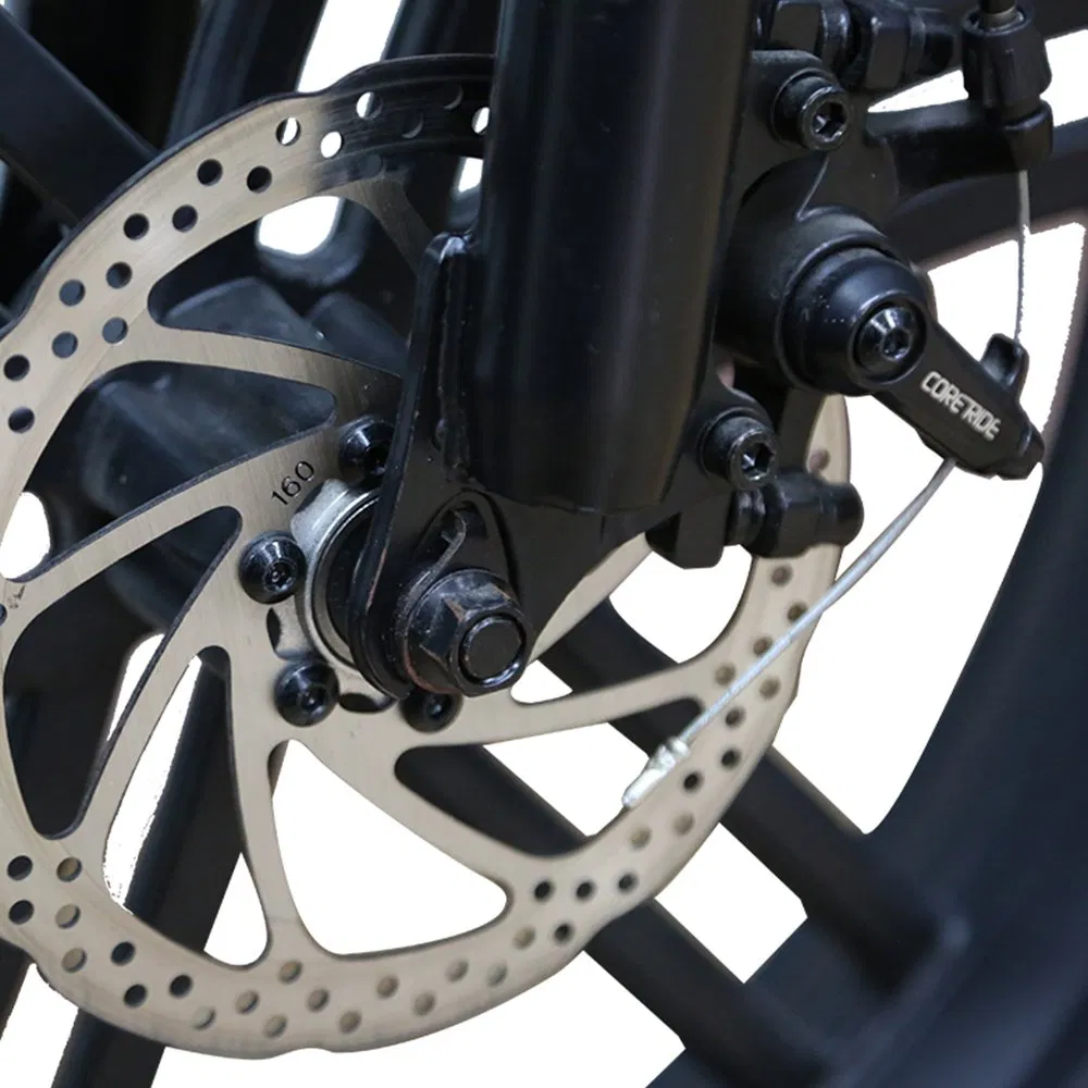 Wholesale Motorcycle Style Retro Dirt Electric Bike 20 Inch Fat Tire Ebike with 500W Brushless Motor 48V Lithium Battery