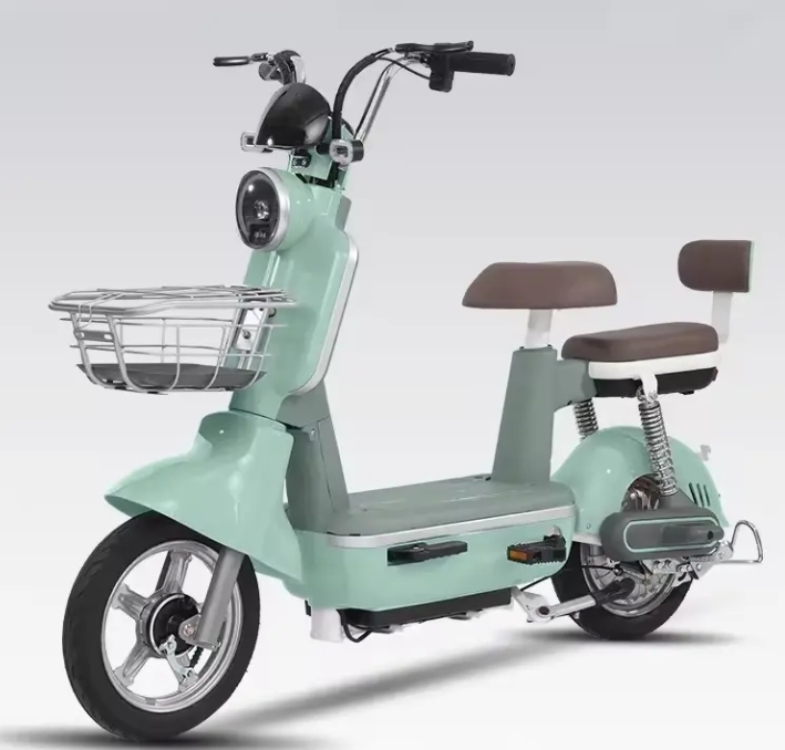 Popular Electric Bicycle Fat-Tire Electric Bike Designed for Adult