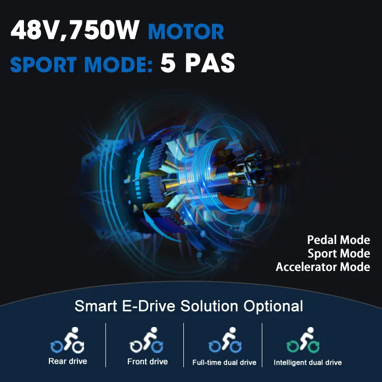 Electric Bike View 2