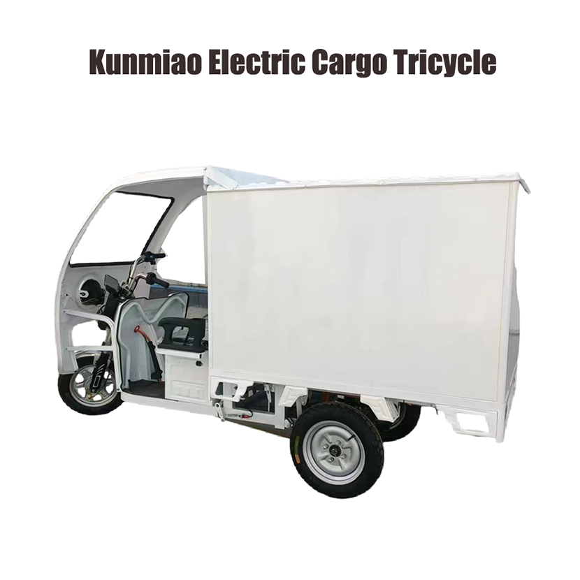 Lead Acid Battery 72V 45ah 1000W Electric Tricycle Electric Delivery Trike