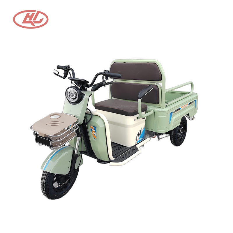 Casual Style, Family Car, Sightseeing Cargo Dual-Purpose Electric Vehicle, Freight Trike