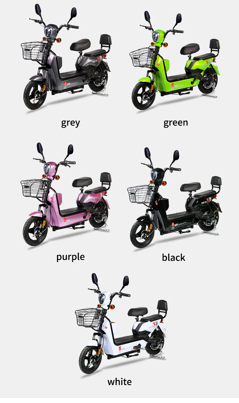 Electric Bike Details 13