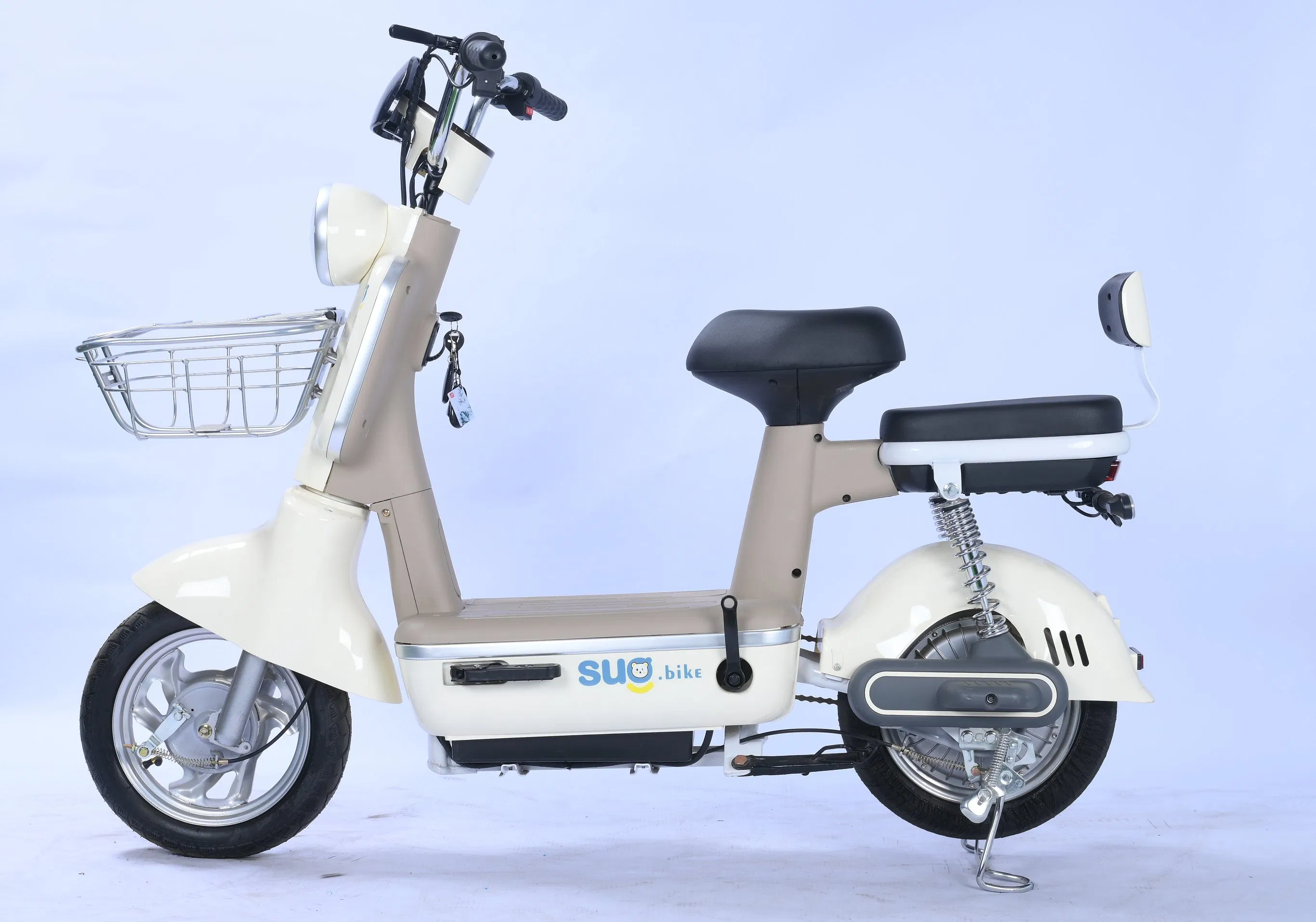 Popular Electric Bicycle Fat-Tire Electric Bike Designed for Adult