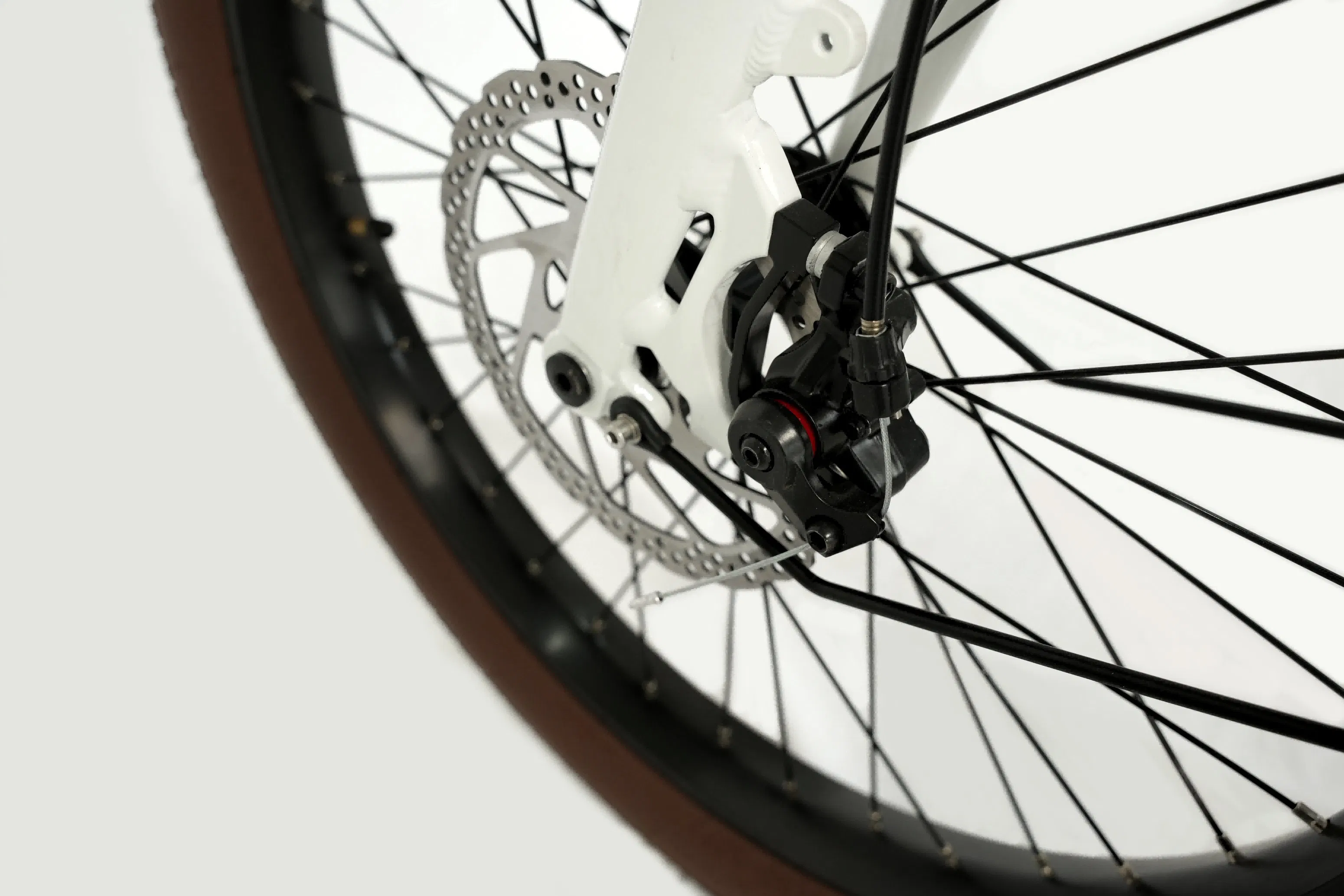 New Cargo Ebike 48V 350W Fat Tire Family Electric Bicycle Af2422