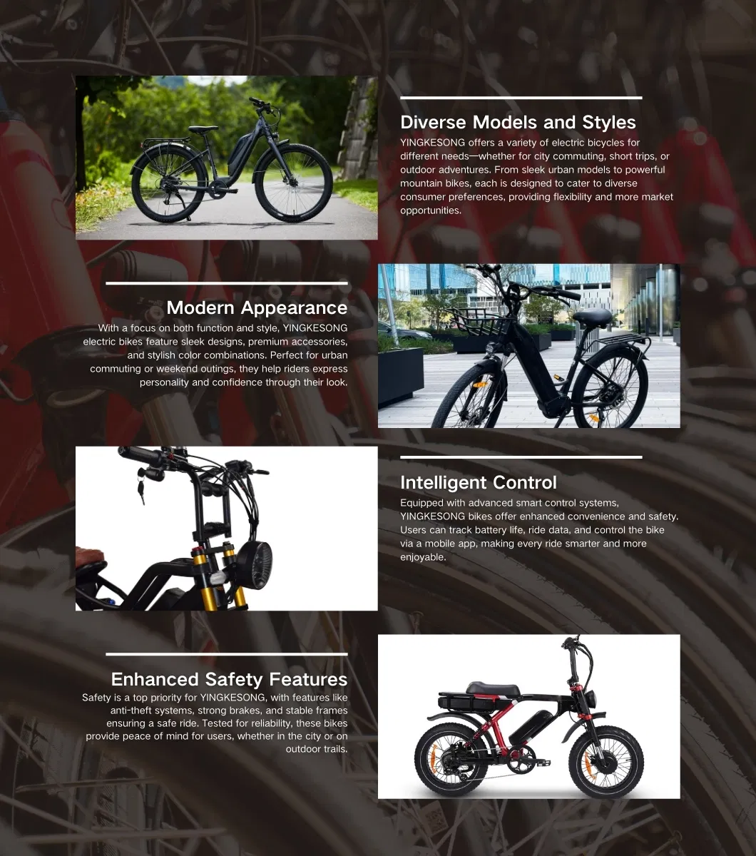 Electric Bicycle Front View