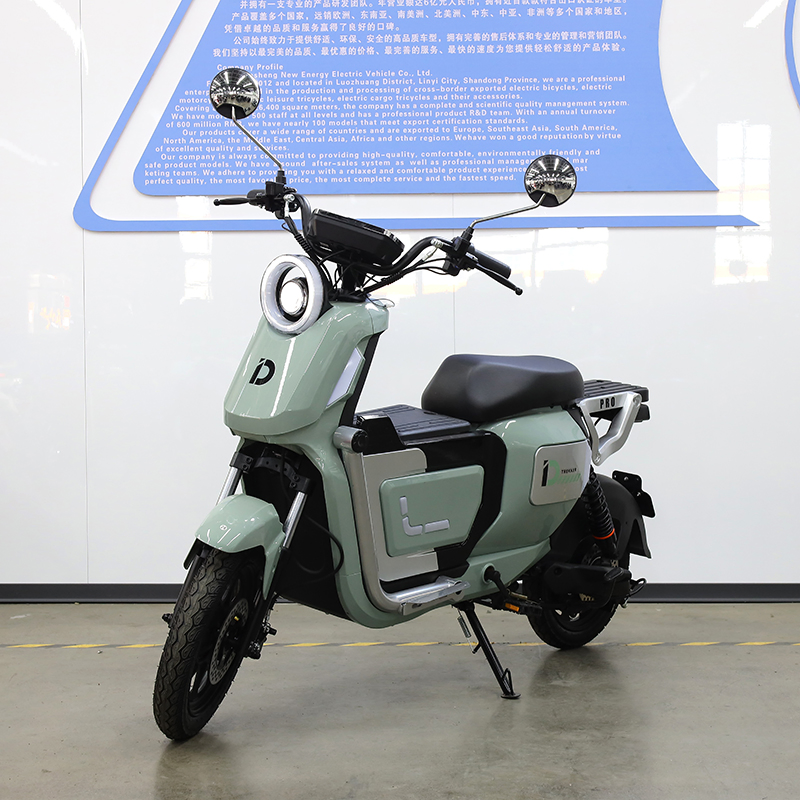 Powerfu; U2 1500W Lithium/Acid Battery Cargo Motorcycle/ E-Bike / Electric Bike for Long Distance Daily Riding Needs