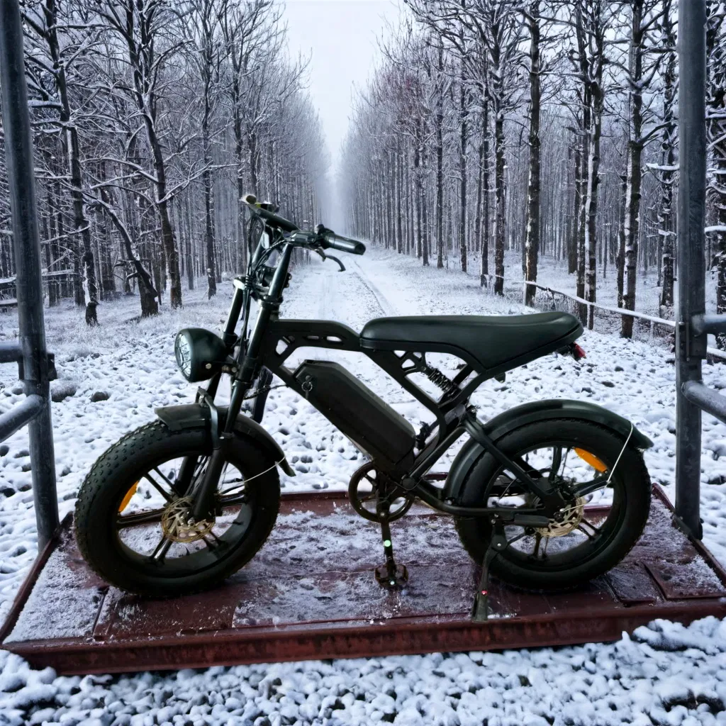 Fat Bike 20*4.0 Snow Tire Xtremetrail 48V Offroad Dirt Ebike with 13.4ah Battery