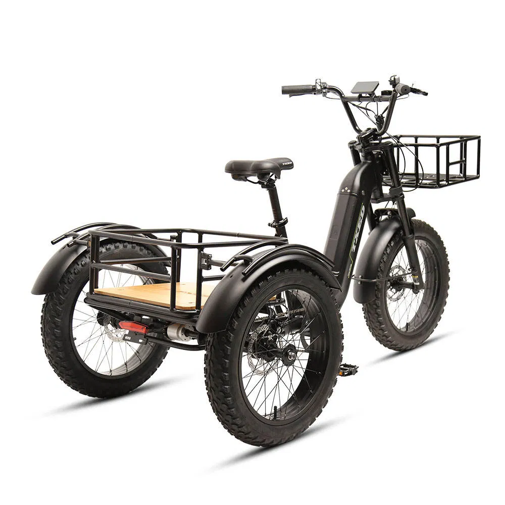 Txed Hot Sellinq 20"Inch Aluminum Frame Electric 3-Wheel Cargo Bike 48V 15ah Lithium Battery Powered Electric Tricycles