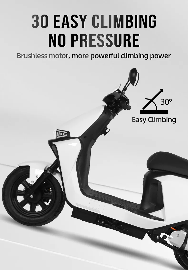 Electric Bike Detail 6