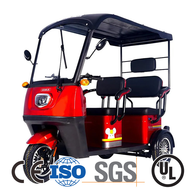Road Legal 60V 1000W Passenger 3 Wheel Electric E Trike for Sale