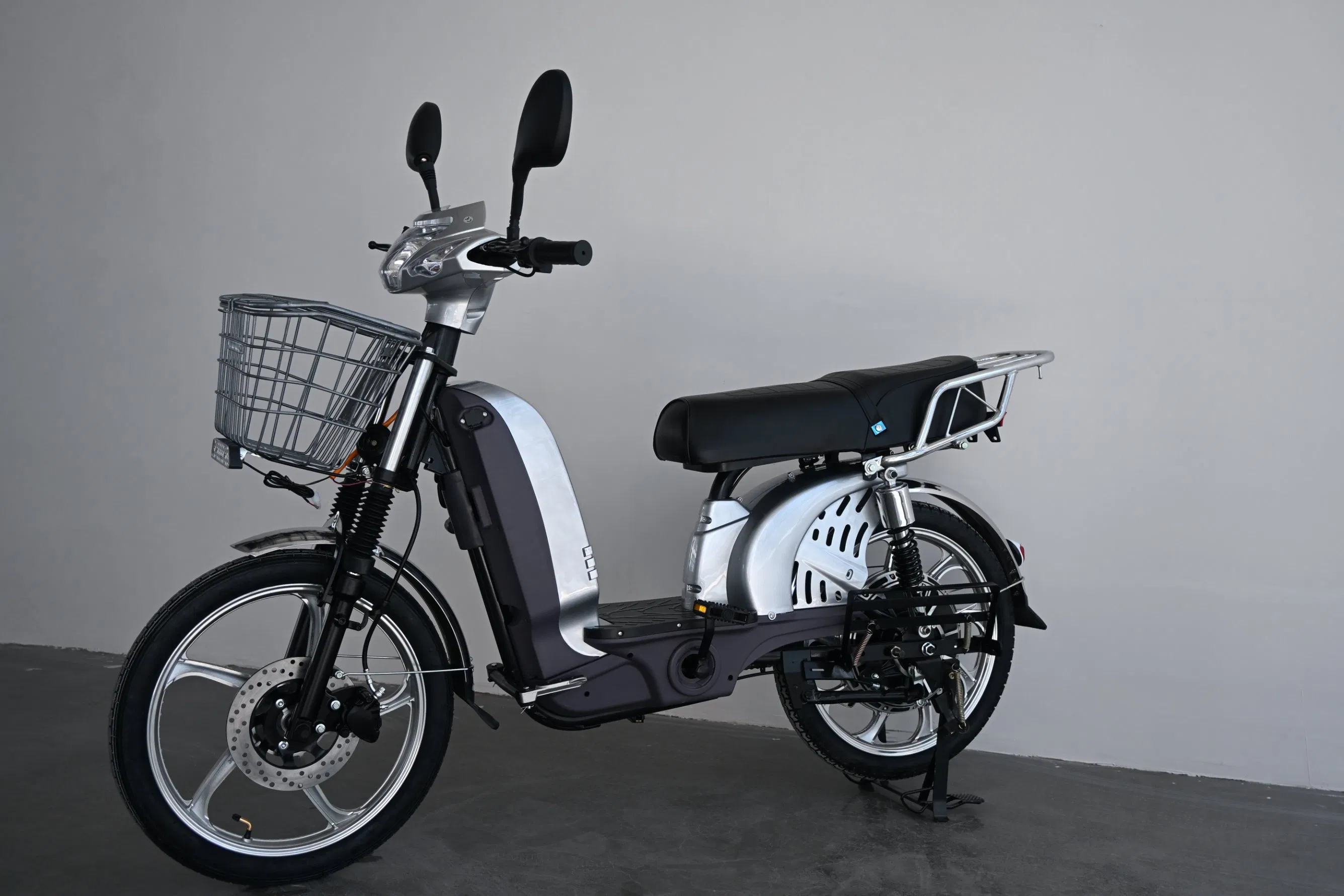 Heavy Duty Outdoor Delivery Long Range 48V 800W Cargo Electric Bike