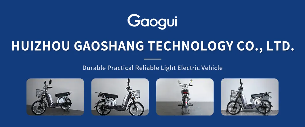 Cargo Electric Bike Banner