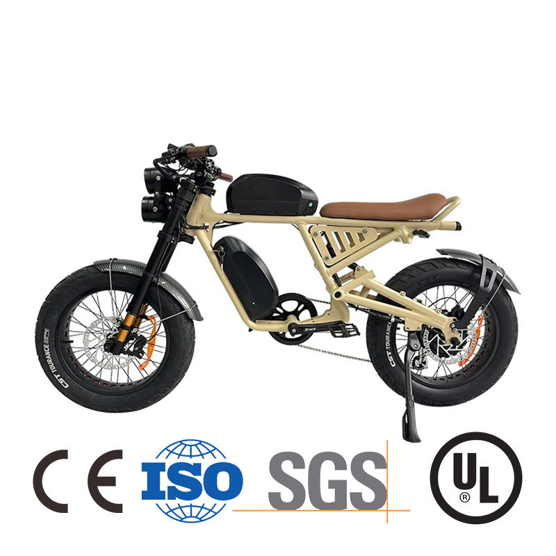 2000 Watt Ladies Commuter Good Electric Bicycle From China