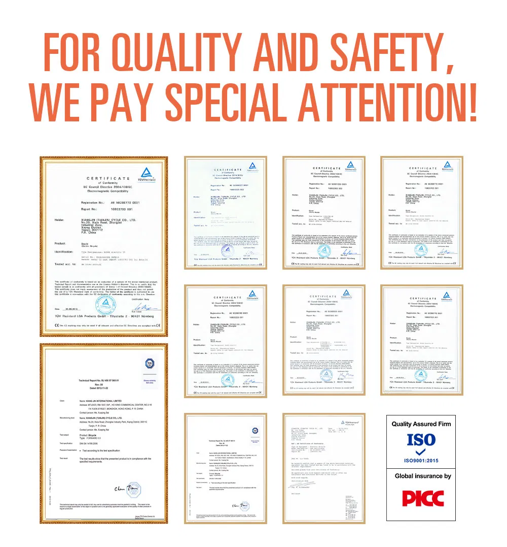 Electric Tricycle Detail 5