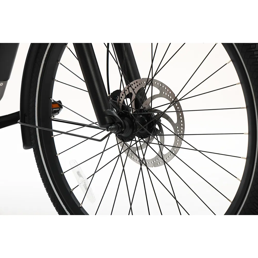 Versatile Electric Commuter Bike Ebike for All Terrains