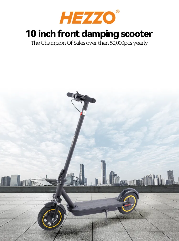 Electric Scooter Overview