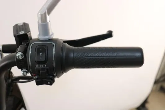 Handlebar Controls Right