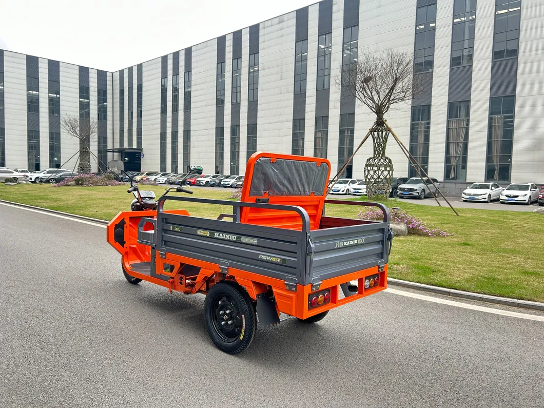 Electric Trike View 9