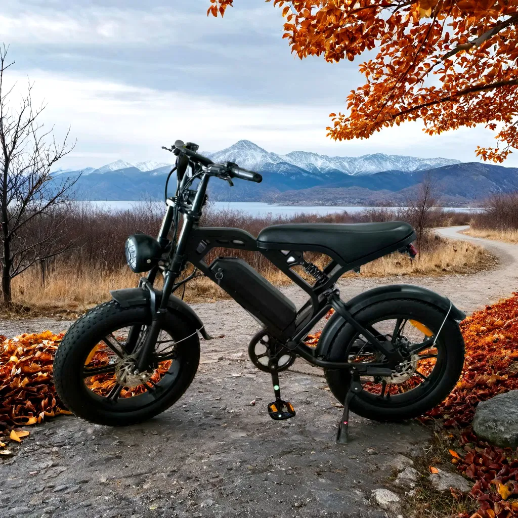 Fat Bike 20*4.0 Snow Tire Xtremetrail 48V Offroad Dirt Ebike with 13.4ah Battery