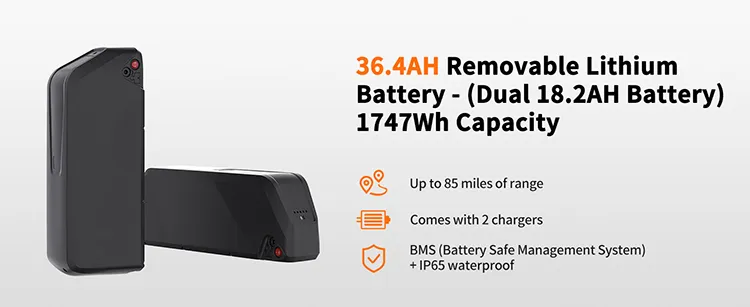 Electric Bike View 2