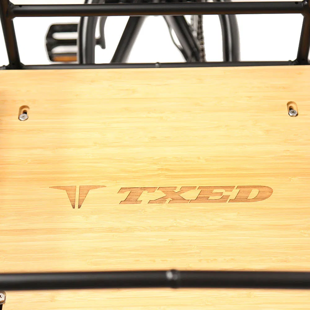 Txed Hot Sellinq 20"Inch Aluminum Frame Electric 3-Wheel Cargo Bike 48V 15ah Lithium Battery Powered Electric Tricycles