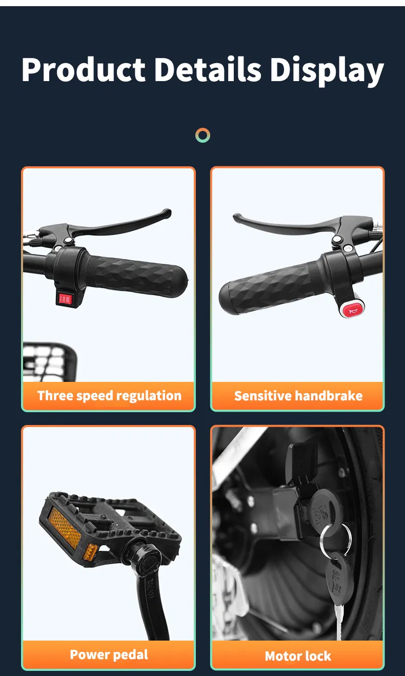 Electric Bike Details 10