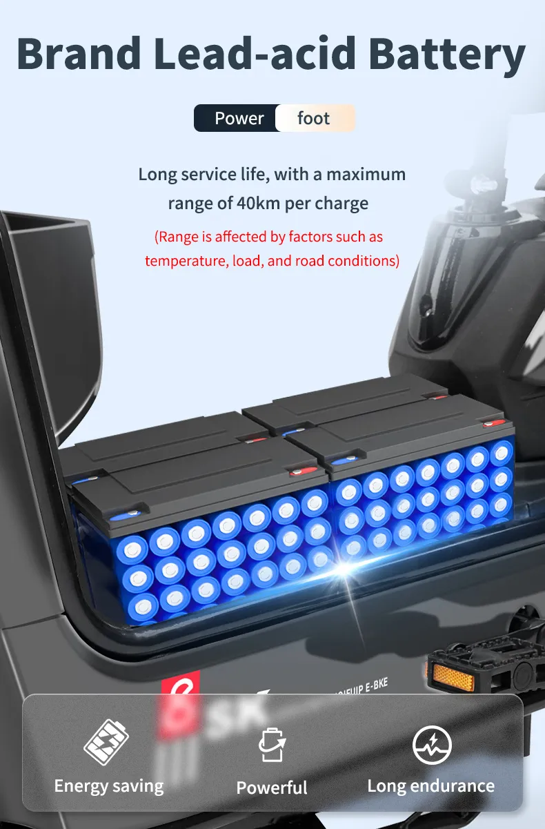 Electric Bike Details 6