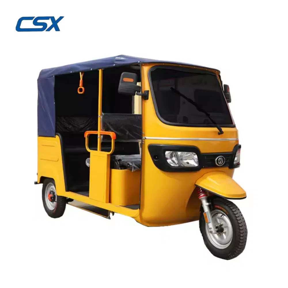 Park Stone Pavement Climbing Mountainous Areas Electric Trike for People and Cargo