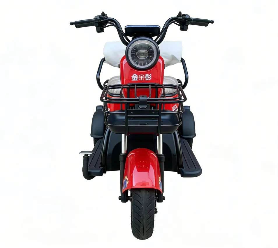 Electric Cargo Tricycle View 2