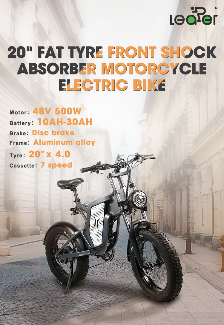 Electric Bike Overview