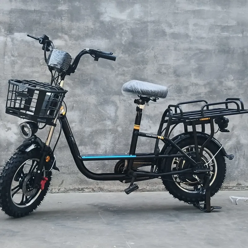 Electric Bike View 1