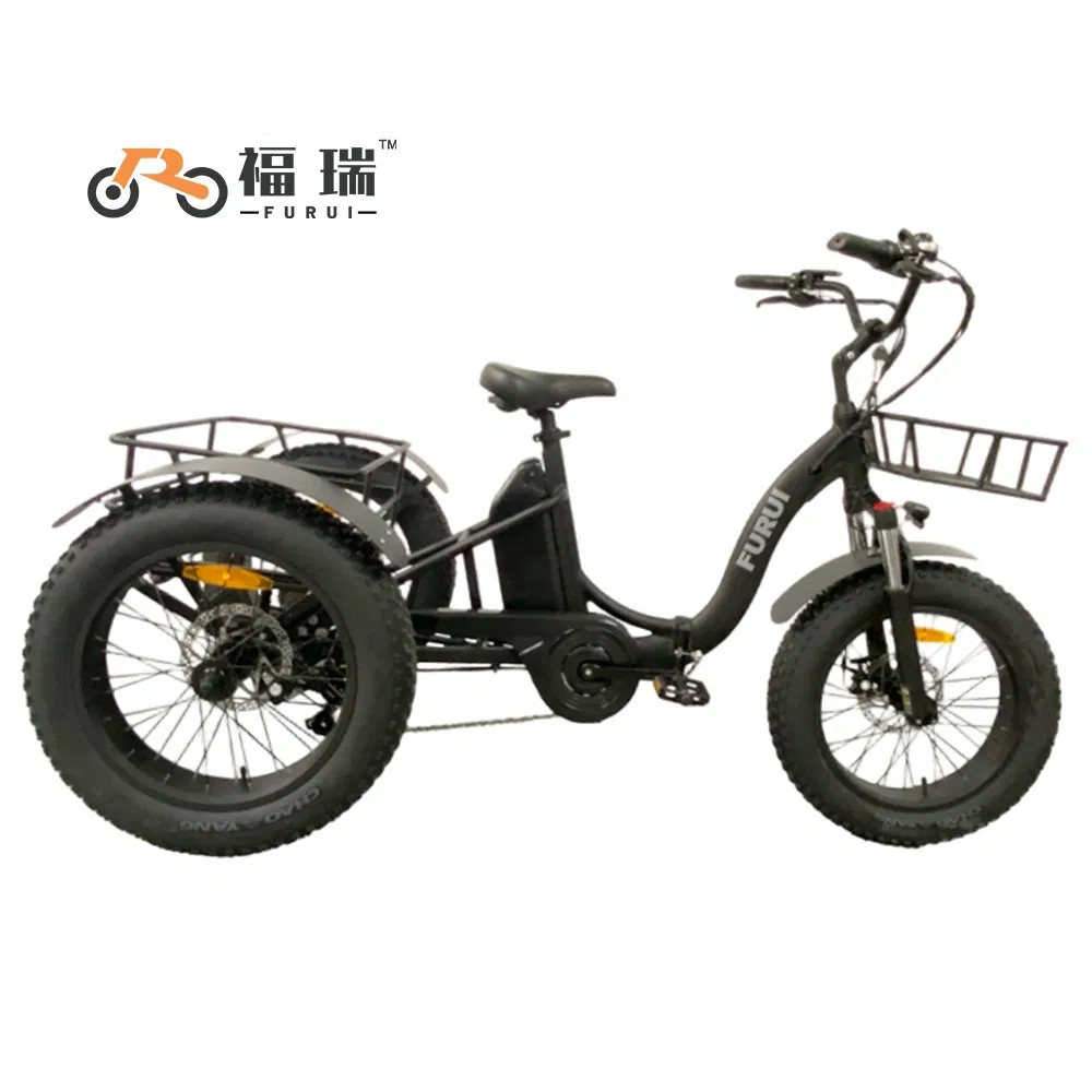 20" Alloy Fat Tire Folding Trike Cargo Ebike 48V 500W Li Battery OEM ODM