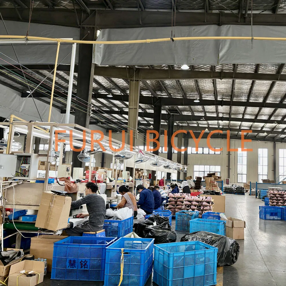 20" Commuter Folding Bike Portable Ebikes for Adult 36V 250W Li Battery OEM ODM