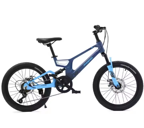 BMX Bicycle Freestyel BMX Bike for Performance (HC-BMX-75162)