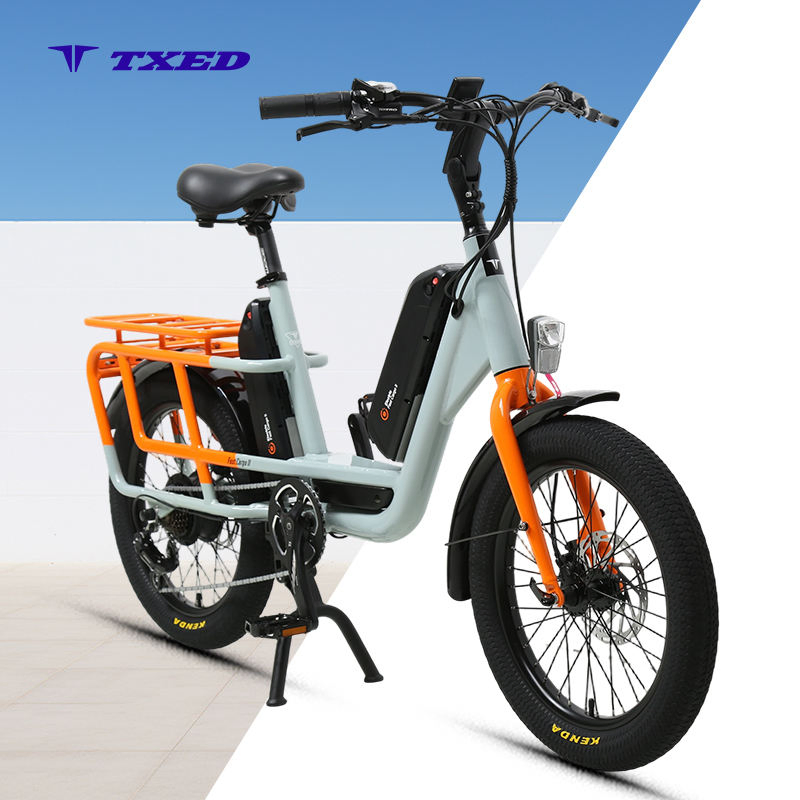 Txed Fast Cargo Bike Alloy Fork Two-Tone Customized Frame 48V/250W Rear Hub Motor Bicycle Dual Battery LCD Panel Delivery Ebike for Adult