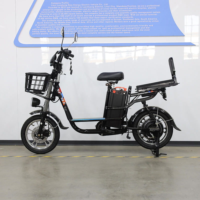 20 Inch Snow Tire High-Strength LiFePO4 Lithium Cargo Electric Bike with Thickened Frame for All Weather Conditions