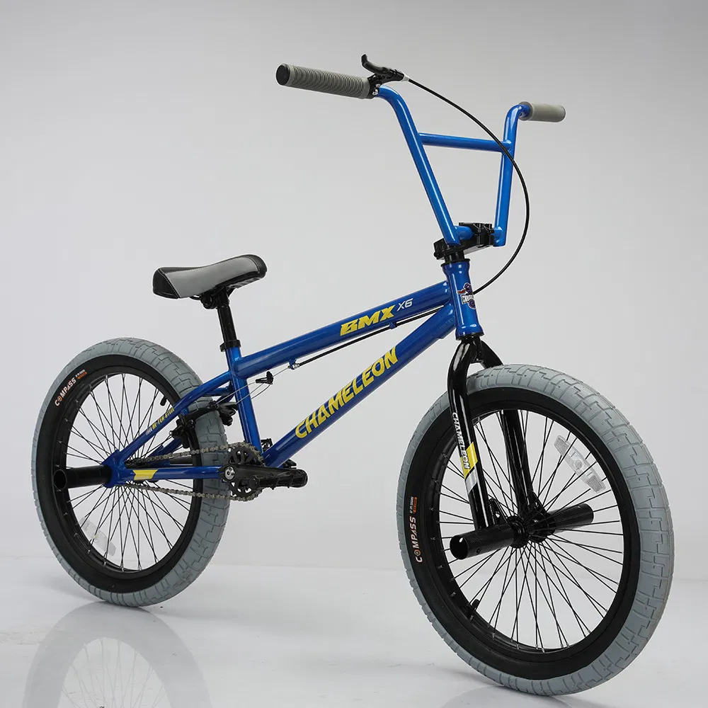 Bicycle-BMX Bicycle-Freestyel BMX Bicycle-Performance Bicycle (HC-BMX-19203)