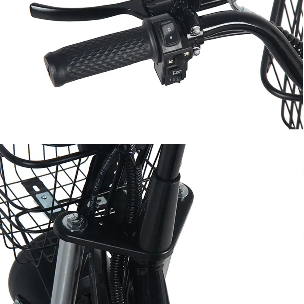 Electric Bike View 5